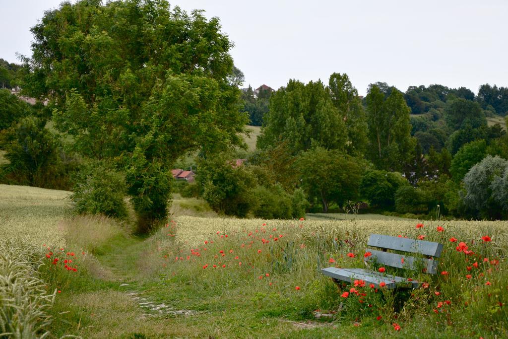 Chambres D'Hotes, Gites La Petite Madeleine La Madelaine-sous-Montreuil Εξωτερικό φωτογραφία